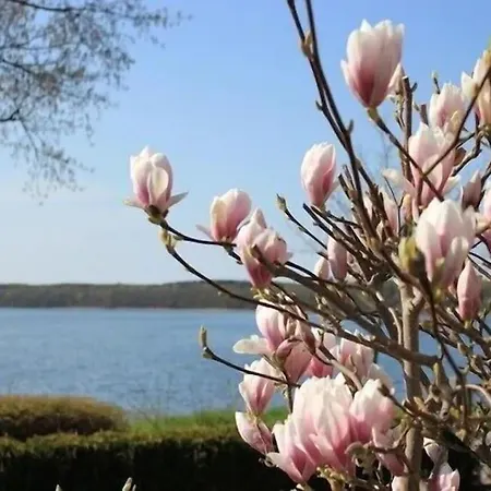 In Mit Seeblick Og Plau am See