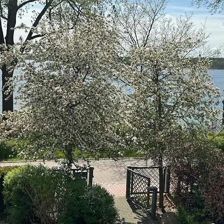 公寓 In Mit Seeblick Og 普劳西