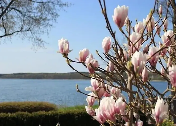 In Mit Seeblick Og プラウ・アム・ゼー